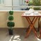 Realistic 35" Boxwood Topiary Ball Tree with Cement-filled Pot